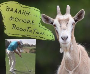 goat pleading more rotation